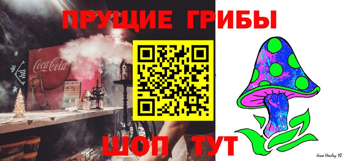 Псилоцибиновые грибы Cubensis  Вход с VPN  Ульяновск 